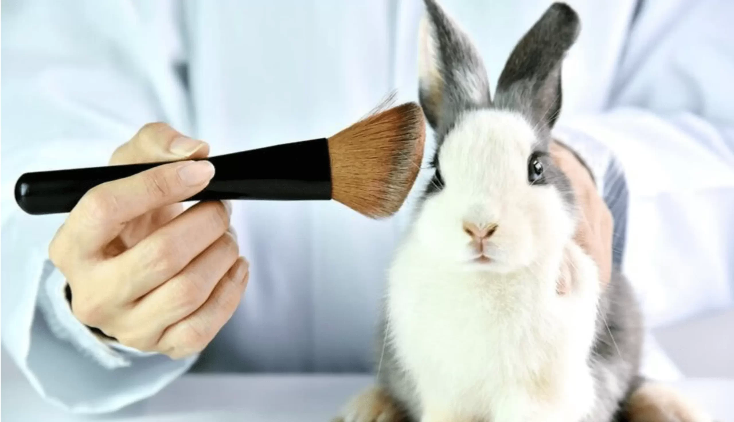 کرولتی فری و تست حیوانی محصولات آرایشی به چه معناست؟